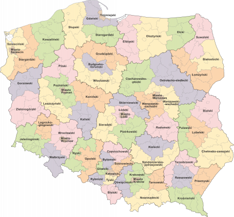 Podział Polski na jednostki NUTS 3 w rewizji NUTS 2010