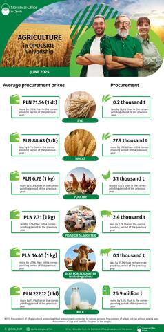 Infographic - Agriculture in Opolskie Voivodship - June 2025
