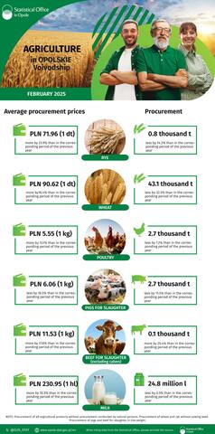 Infographic - Agriculture in Opolskie Voivodship - February 2025