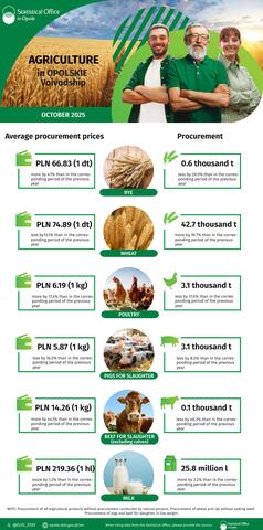 Infographic - Agriculture in Opolskie Voivodship - October 2025