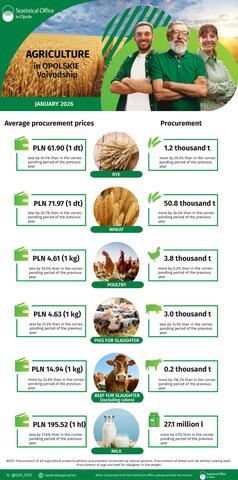 Infographic - Agriculture in Opolskie Voivodship - January 2026
