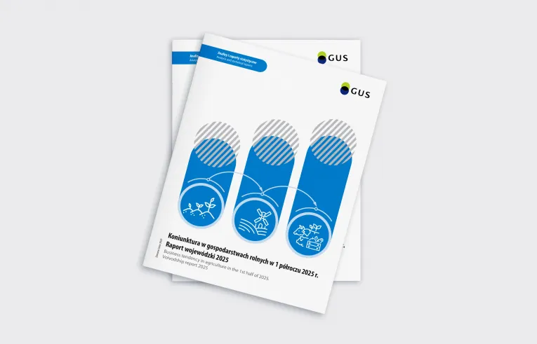 Okładka publikacji Koniunktura w gospodarstwach rolnych w 1 półroczu 2025r.