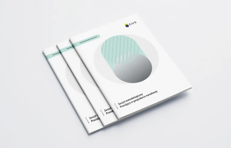 okładka publikacji "Zeszyt metodologiczny - Pracujący w gospodarce narodowej"