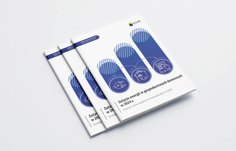 Okładka publikacji Zużycie energii w gospodarstwach domowych w 2024 r.
