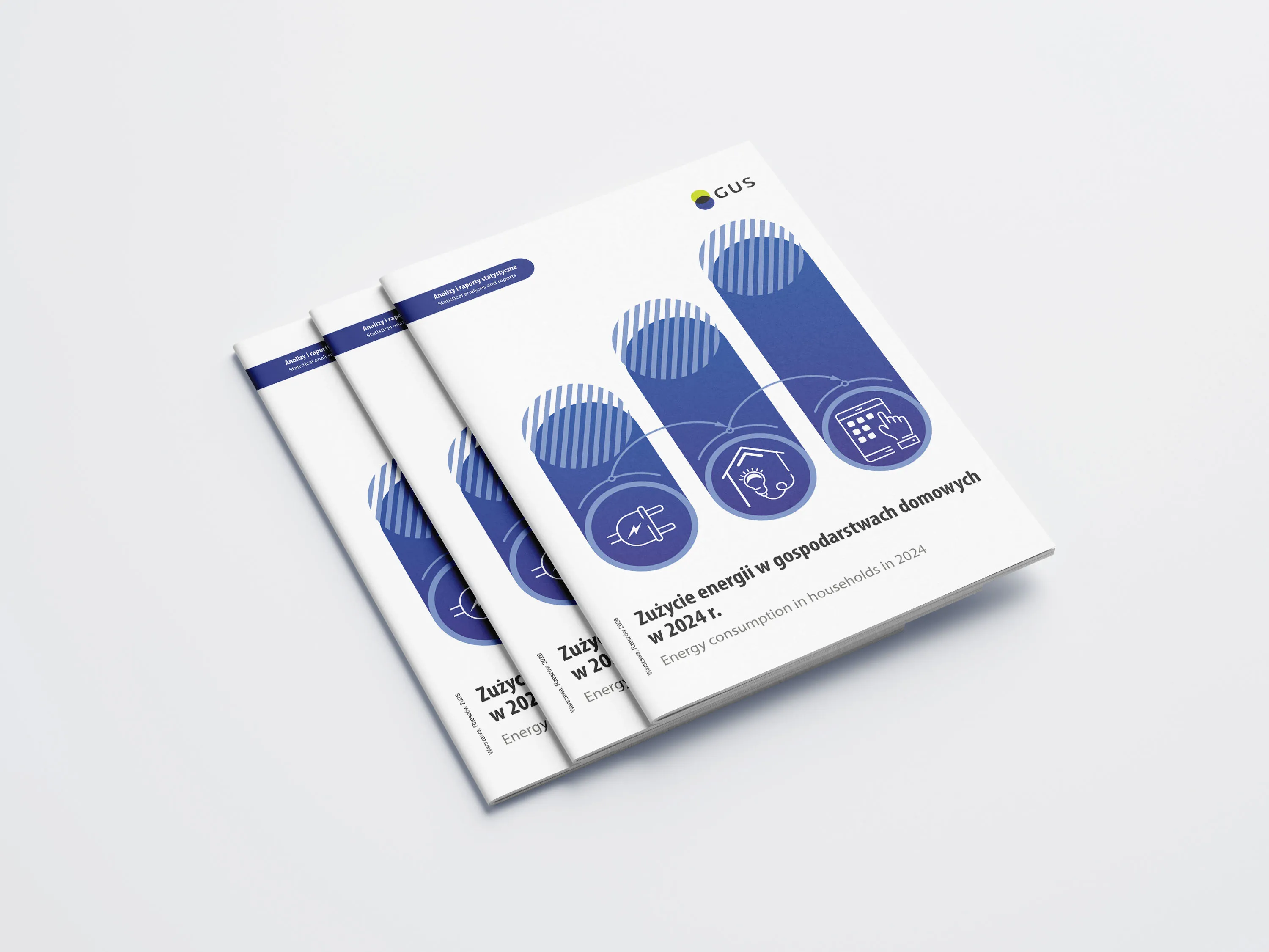 Cover of the publication Energy consumption in households in 2024