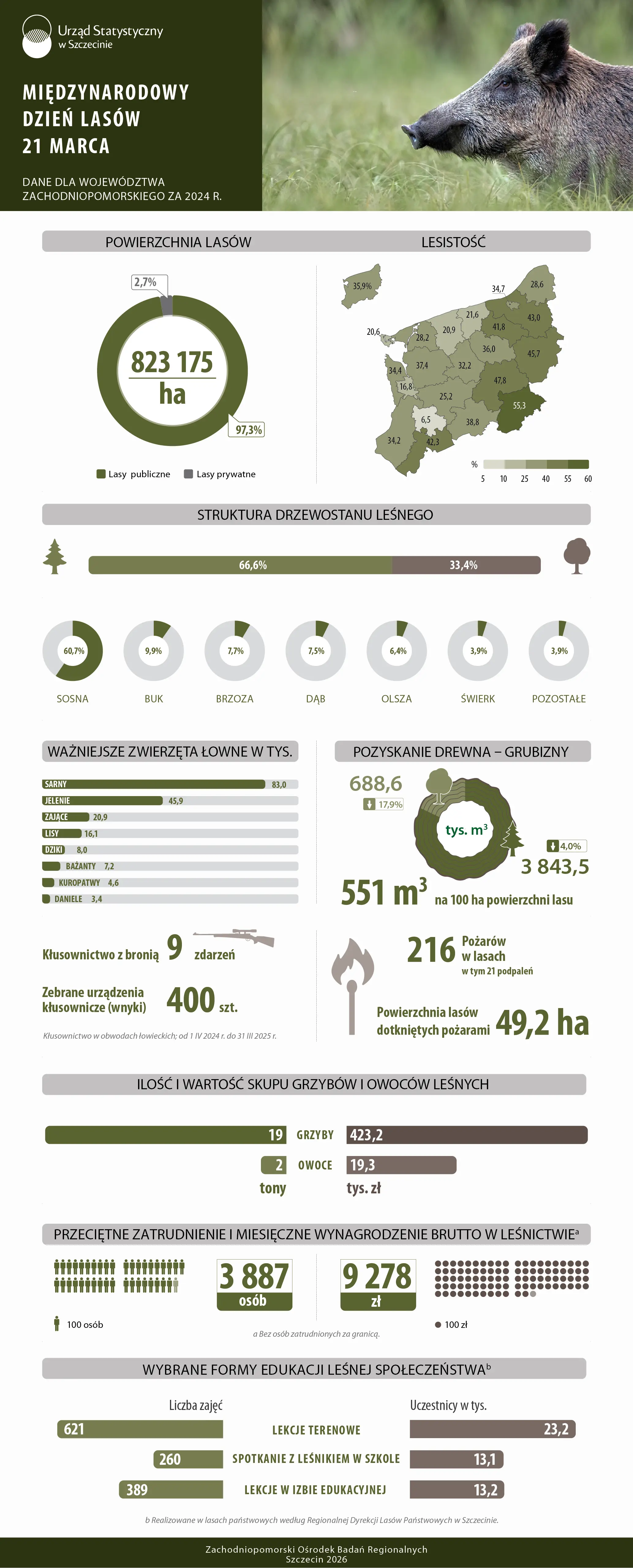 Międzynarodowy Dzień Lasów 2026