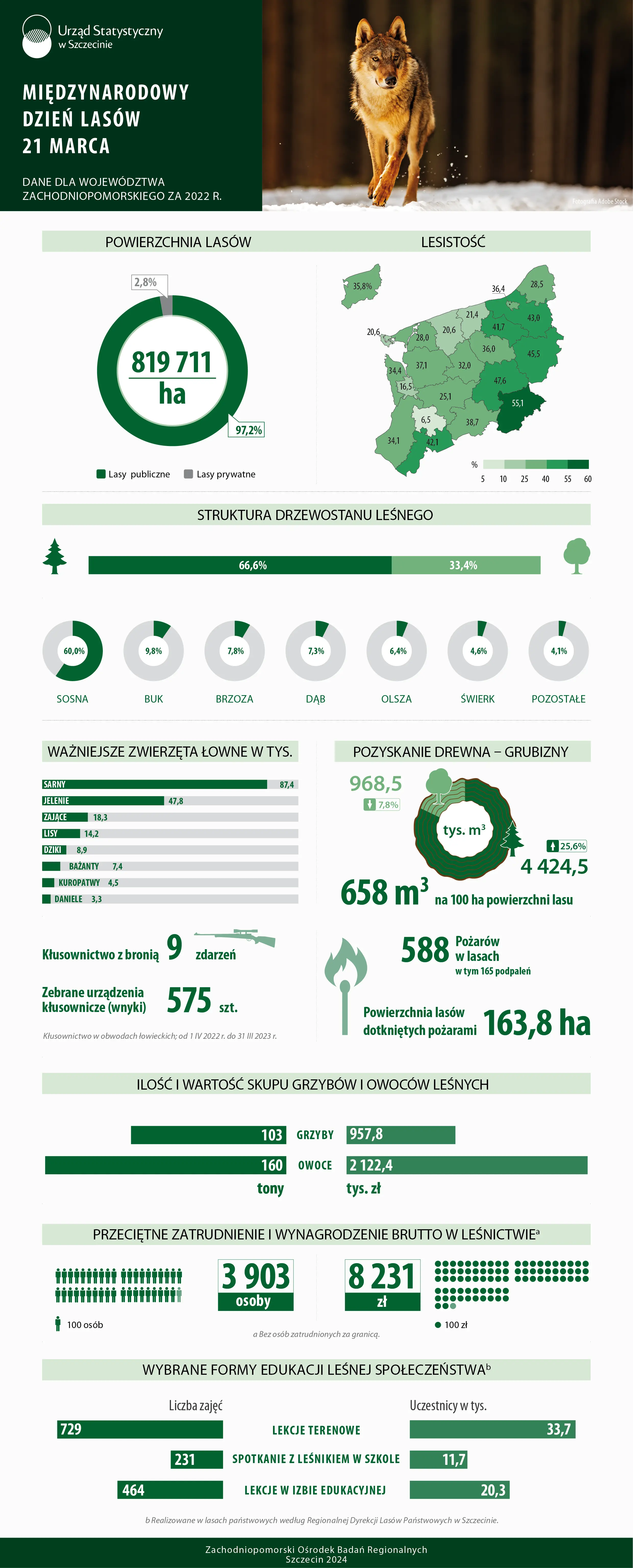 międzynarodowy_dzień_lasów_2024_Infografika_USSz.png
