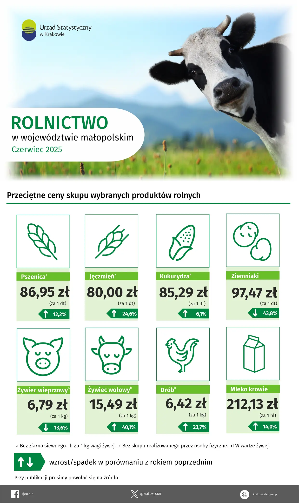 Piktogramy i przyporządkowane do nich dane