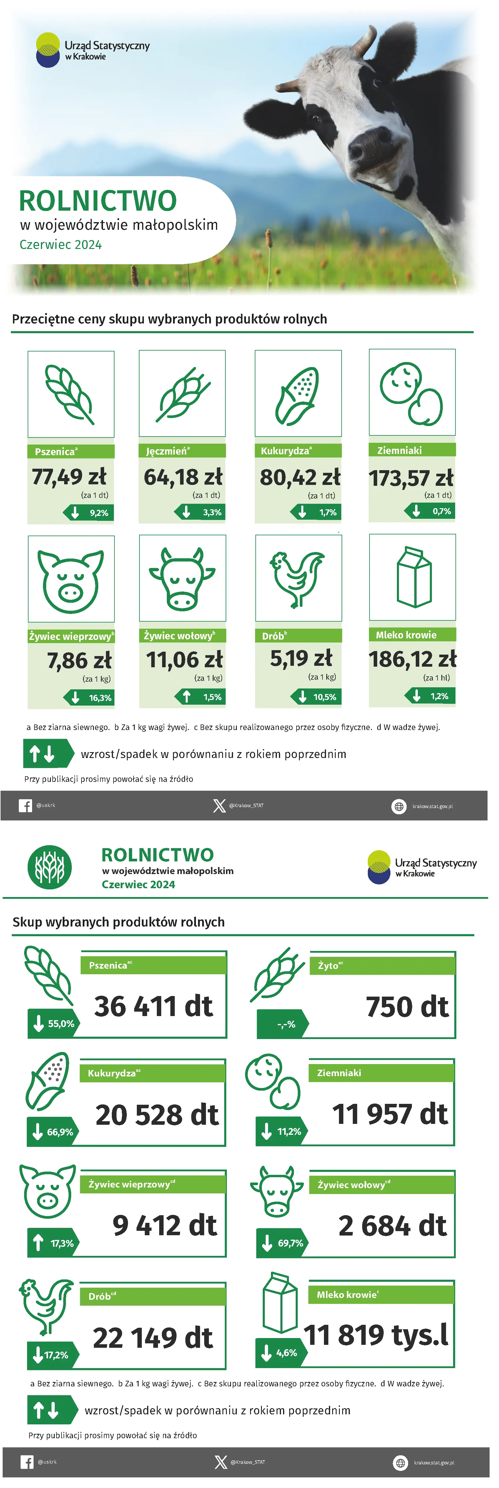 Piktogramy i przyporządkowane do nich dane