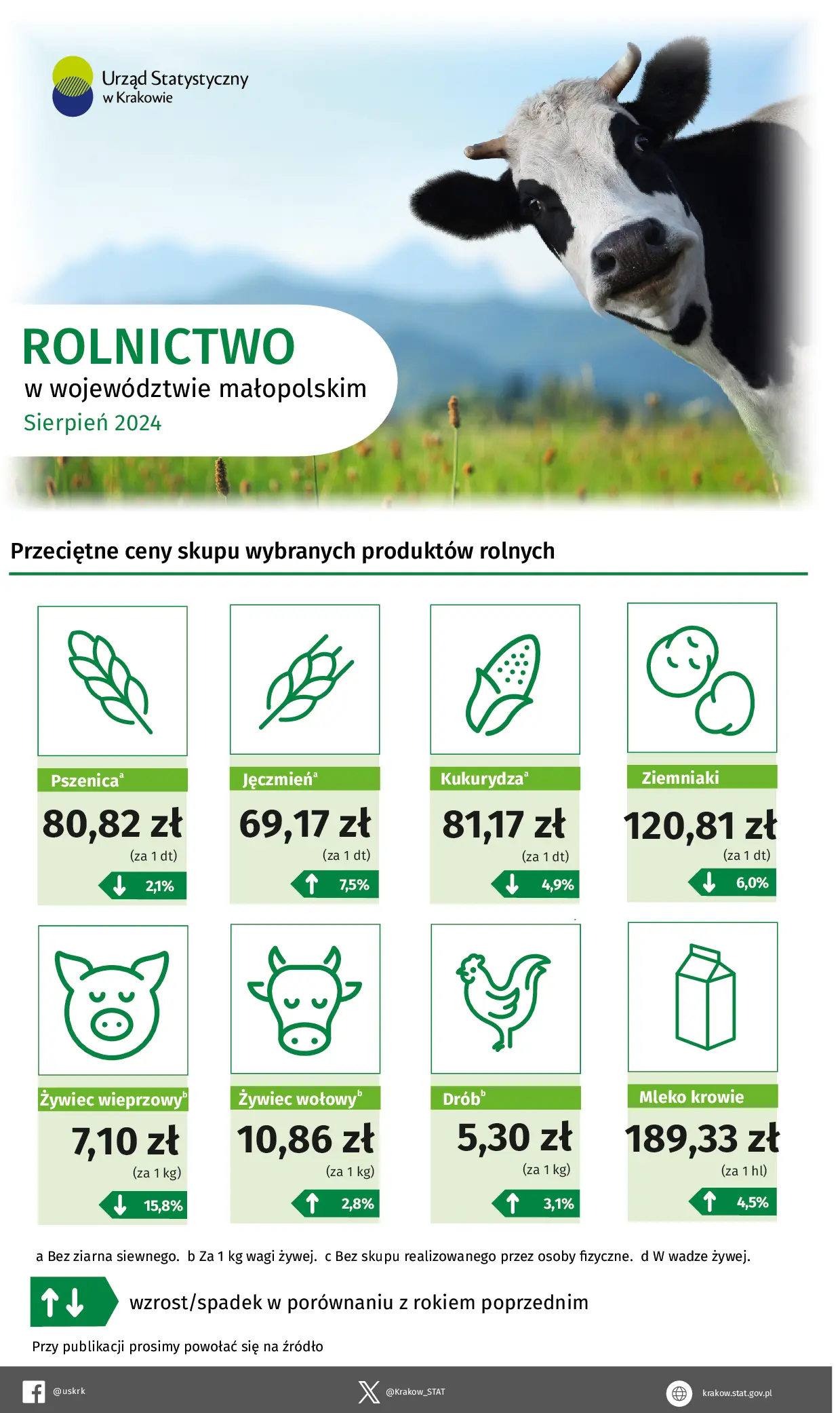 Piktogramy i przyporządkowane do nich dane