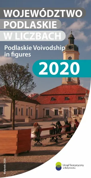 Powiększ obraz: Województwo  podlaskie  w  liczbach  2020.  Folder  dostępny  jest  w  plikach  do  pobrania.