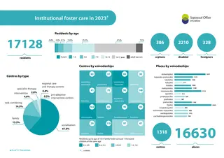 Powiększ obraz: Institutional  foster  care  in  2023