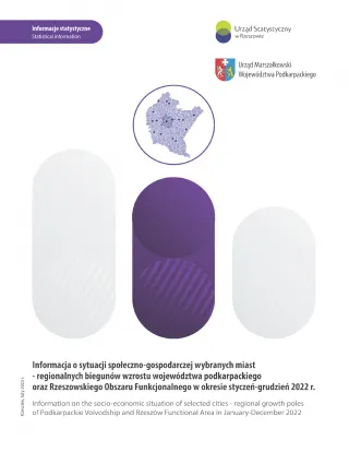 Powiększ obraz: Okładka publikacji Informacja o sytuacji społeczno-gospodarczej wybranych miast - regionalnych biegunów wzrostu województwa podkarpackiego oraz Rzeszowskiego Obszaru Funkcjonalnego w okresie styczeń-grudzień 2022 r.