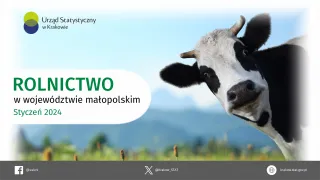 Powiększ obraz: Rolnictwo  w  województwie  małopolskim  –  infografika  danymi  z  rolnictwa  za  styczeń  2024