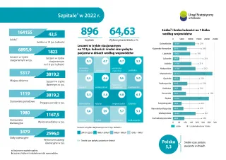Powiększ obraz: Szpitale  w  2021  r.  -  Infografika