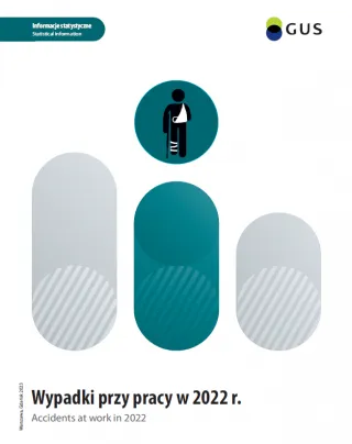 Powiększ obraz: publication's  cover