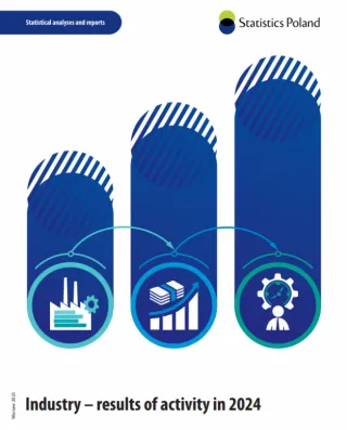 Powiększ obraz: Industry - results of activity in 2024. Cover of the publication