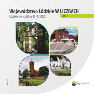 Powiększ obraz: Województwo łódzkie w liczbach 2017