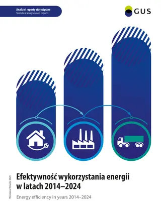 Powiększ obraz: Okładka publikacji Efektywność wykorzystania energii w latach 2014-2024