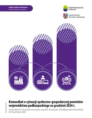 Powiększ obraz: Cover of the publication Information on the socio-economic situation of powiats of Podkarpackie Voivodship for December 2024