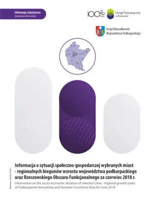 Powiększ obraz: Cover of the publication Information on the socio-economic situation of selected cities – regional growth poles of Podkarpackie Voivodship and Rzeszów Functional Area for June 2018