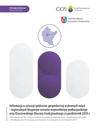 Powiększ obraz: Cover of the publication Information on the socio-economic situation of selected cities – regional growth poles of Podkarpackie Voivodship and Rzeszów Functional Area for October 2018