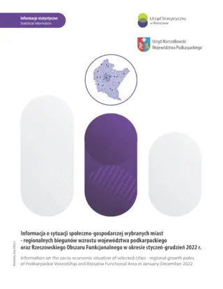 Powiększ obraz: Cover of the publication Information on the socio-economic situation of selected cities – regional growth poles of Podkarpackie Voivodship and Rzeszów Functional Area in January–December 2022