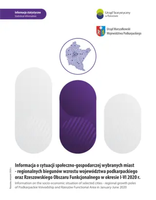 Powiększ obraz: Cover of the publication Information on the socio-economic situation of selected cities – regional growth poles of Podkarpackie Voivodship and Rzeszów Functional Area in January–June 2020