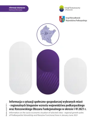 Powiększ obraz: Cover of the publication Information on the socio-economic situation of selected cities – regional growth poles of Podkarpackie Voivodship and Rzeszów Functional Area in January–June 2021