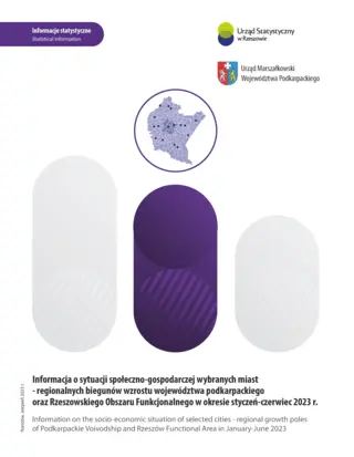Powiększ obraz: Cover of the publication Information on the socio-economic situation of selected cities – regional growth poles of Podkarpackie Voivodship and Rzeszów Functional Area in January–June 2023