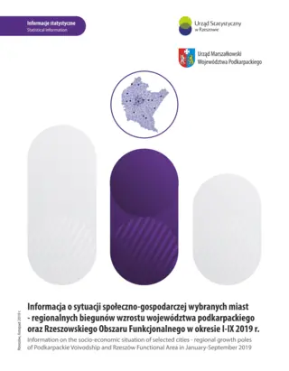 Powiększ obraz: Cover of the publication Information on the socio-economic situation of selected cities – regional growth poles of Podkarpackie Voivodship and Rzeszów Functional Area in January–September 2019