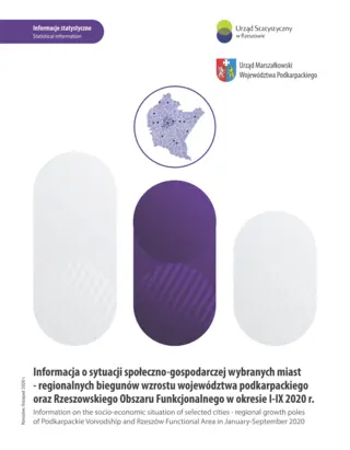 Powiększ obraz: Cover of the publication Information on the socio-economic situation of selected cities – regional growth poles of Podkarpackie Voivodship and Rzeszów Functional Area in January–September 2020