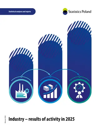 Powiększ obraz: Cover of the publication Industry results of activity in 2025 
