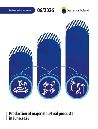 Powiększ obraz: Book cover of Production of major industrial products in June in 2026.