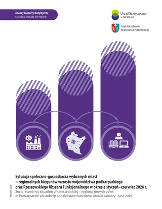 Powiększ obraz: Okładka opracowania Sytuacja społeczno-gospodarcza wybranych miast - regionalnych biegunów wzrostu województwa podkarpackiego oraz rof I-VI 2026